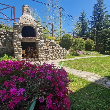 Chalet Mila Mavrovo Esterno foto
