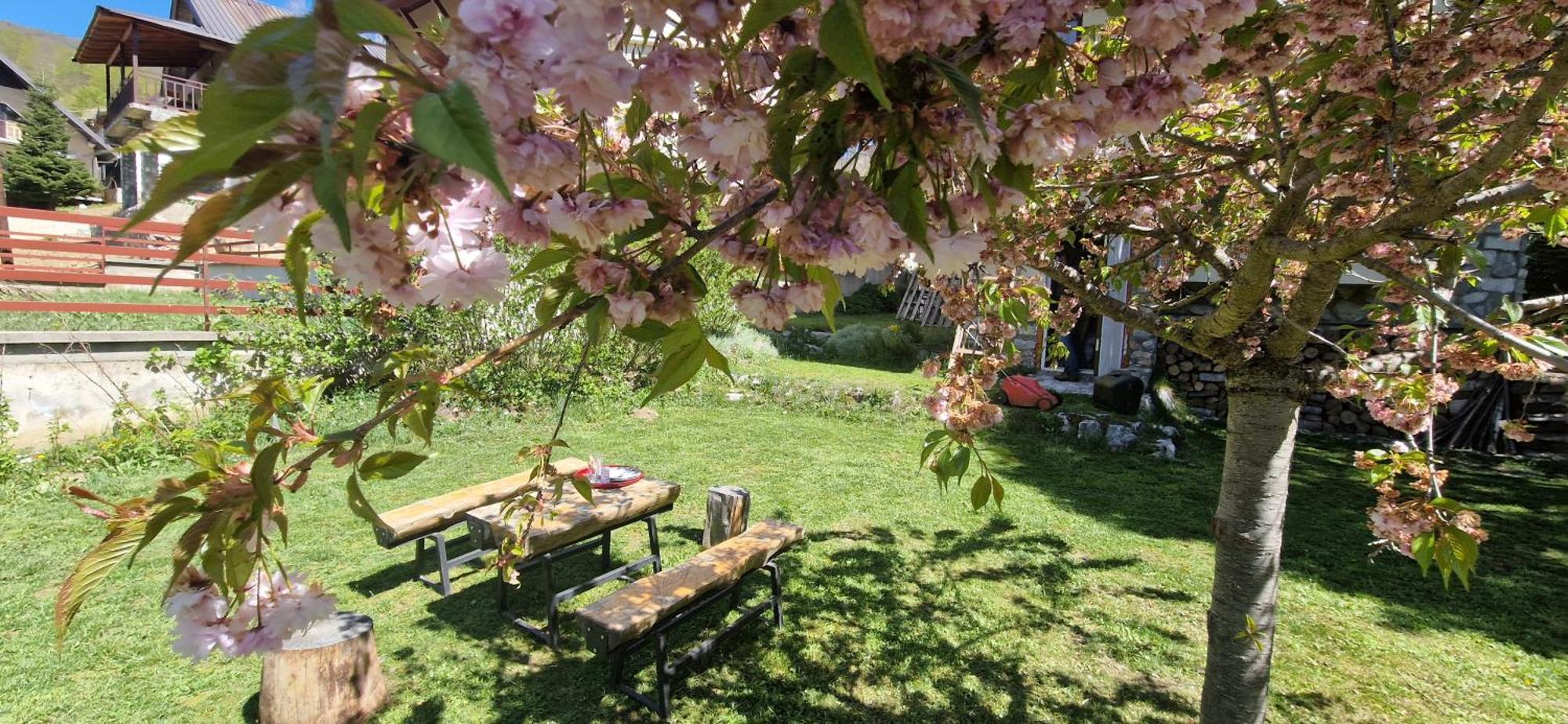 Chalet Mila Mavrovo Esterno foto