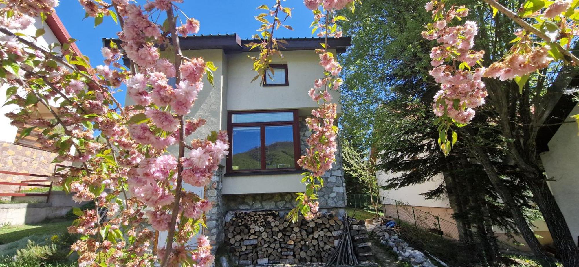 Chalet Mila Mavrovo Esterno foto